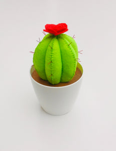 Cactus Bola