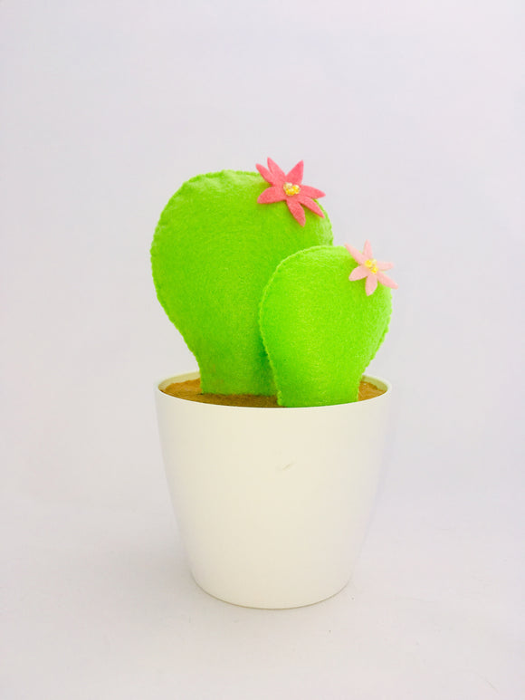 Cactus Doble